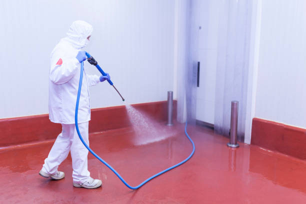 Best Dumpster Area Cleaning  in , NM